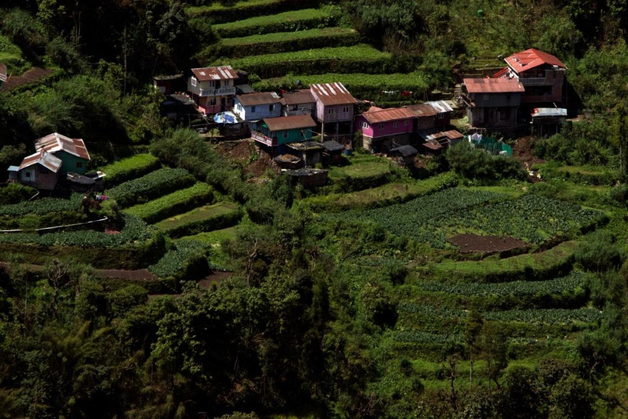 Yashita Homestay Darjeeling  Dış mekan fotoğraf