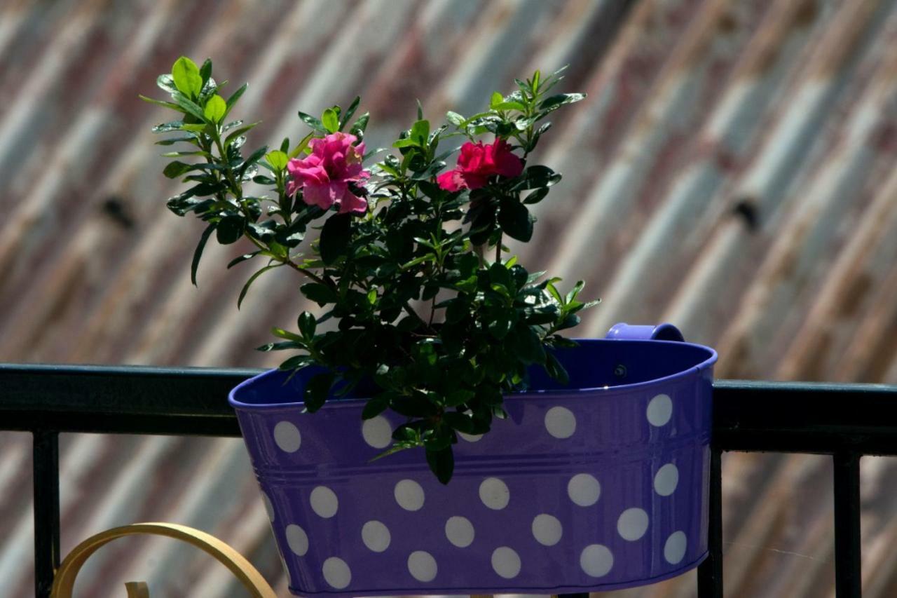 Yashita Homestay Darjeeling  Dış mekan fotoğraf